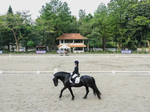 Kejurnas Equestrian 2025, Pertandingan Dressage Usai, Kontingen Jawa Barat Pimpin Klasemen Sementara Perolehan Medali